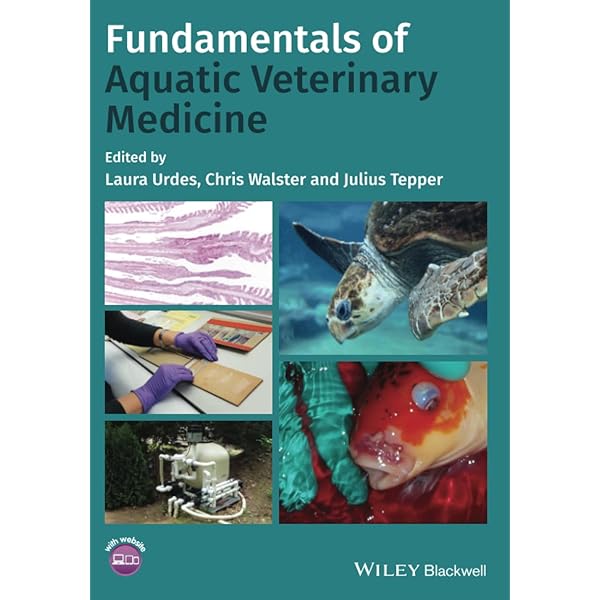 Toxicology of Fishes: Willett, Kristine L., Aluru, Neelakanteswar